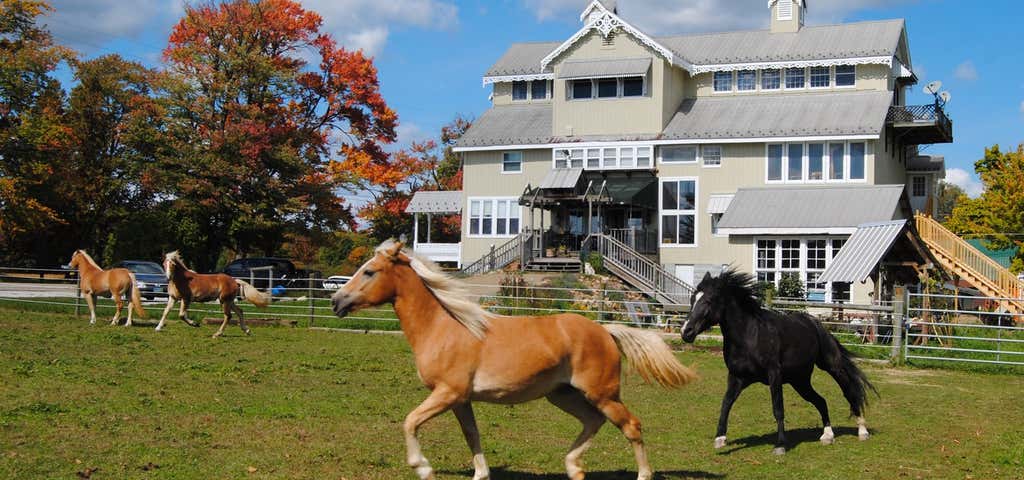 Photo of Dream Horse Guesthouse