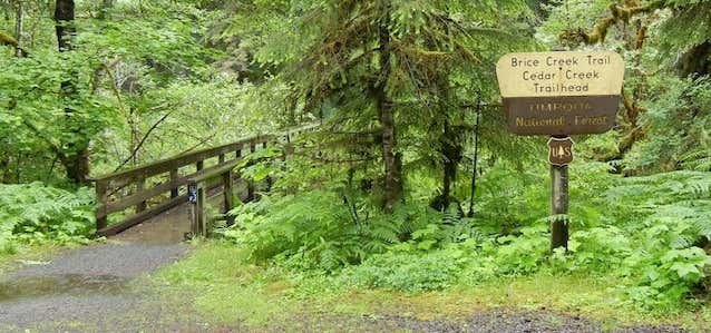 Photo of Brice Creek Trail