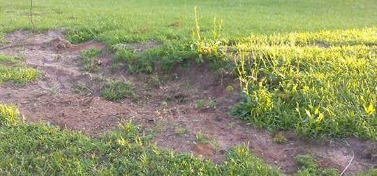 Powell hill. the best place in the world to grow up.