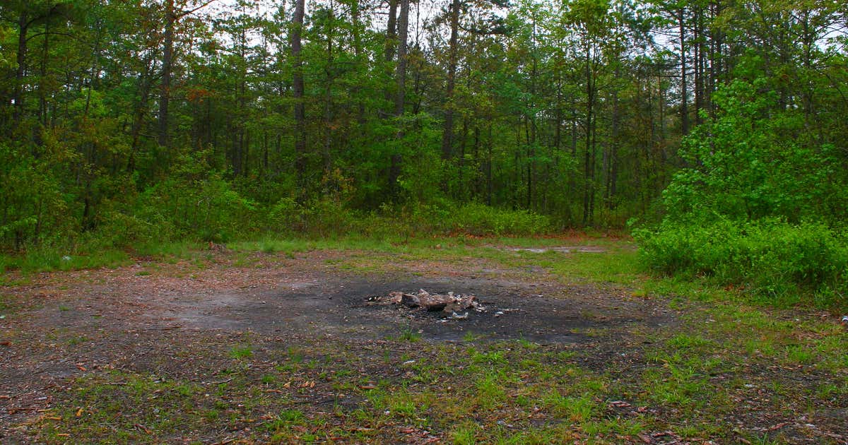 The Devil's Tramping Ground, Roadtrippers