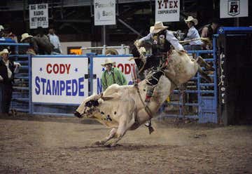Photo of Cody Nite Rodeo