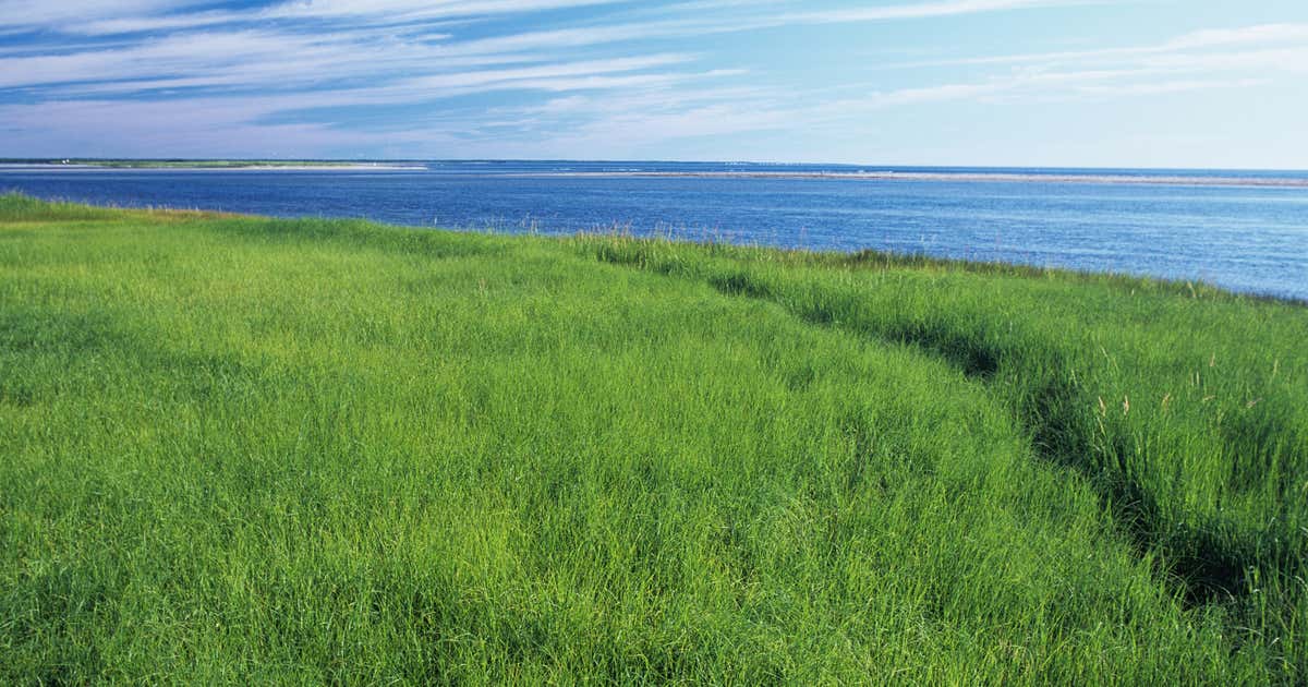 Kouchibouguac National Park, New Brunswick Roadtrippers