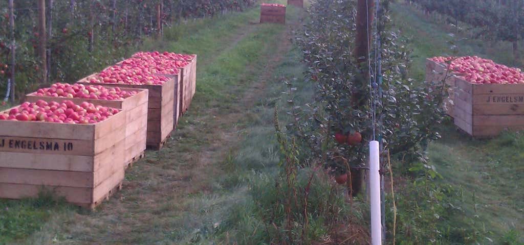 Photo of Engelsma's Apple Barn