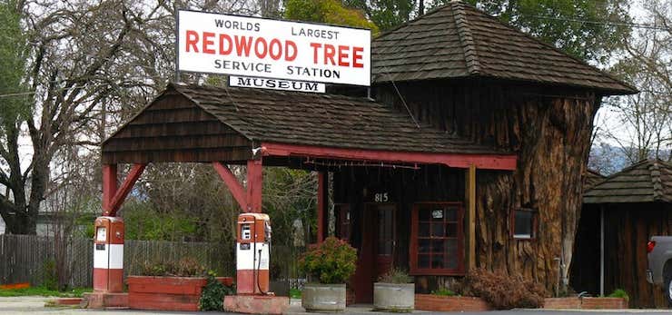 Photo of World's Largest Redwood Tree Service Station