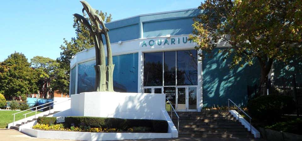 Photo of Aquarium of Niagara