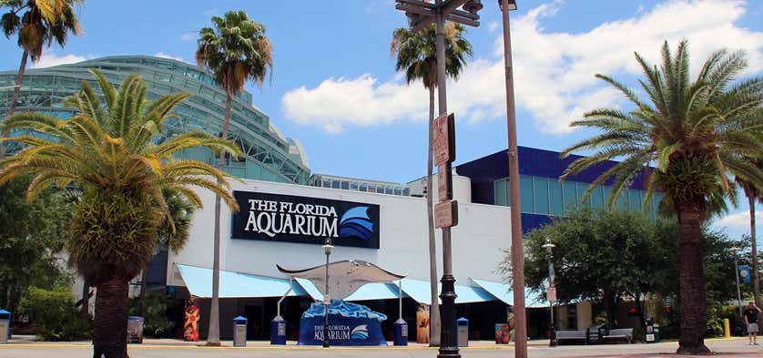 Photo of The Florida Aquarium