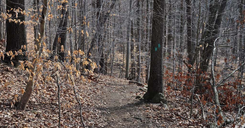 Blauvelt State Park, Blauvelt Roadtrippers