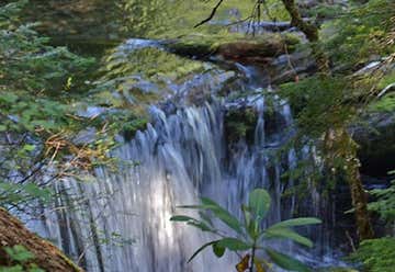 Photo of Diamond Creek Falls Trail