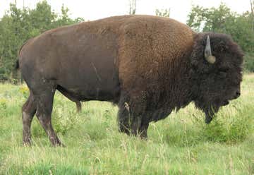Photo of The Bison Ranch at Coteau Ridge