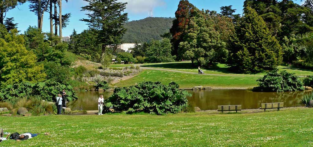 Photo of San Francisco Botanical Gardens