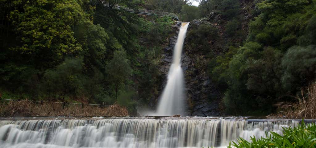 Photo of Waterfall Gully To Mount Lofty Hike