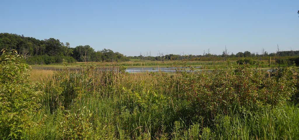 Photo of Volo Bog State Natural Area