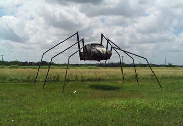 Photo of Spider Bug-Wilson VW Auto