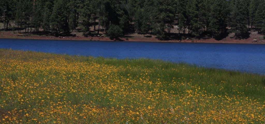 Photo of Dogtown Reservoir