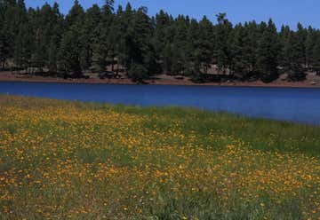 Photo of Dogtown Reservoir