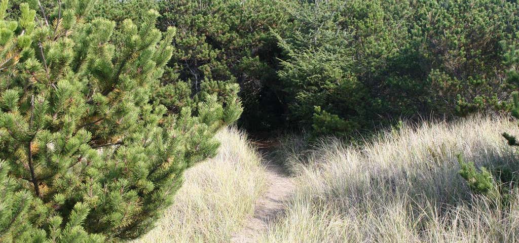 Photo of Pacific Pines State Park
