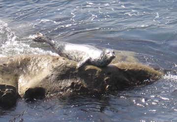 Photo of Sea Lion Point Trailhead