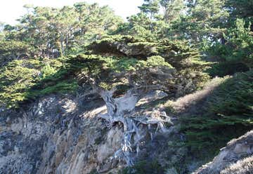 Photo of North Shore Trail - Point Lobos
