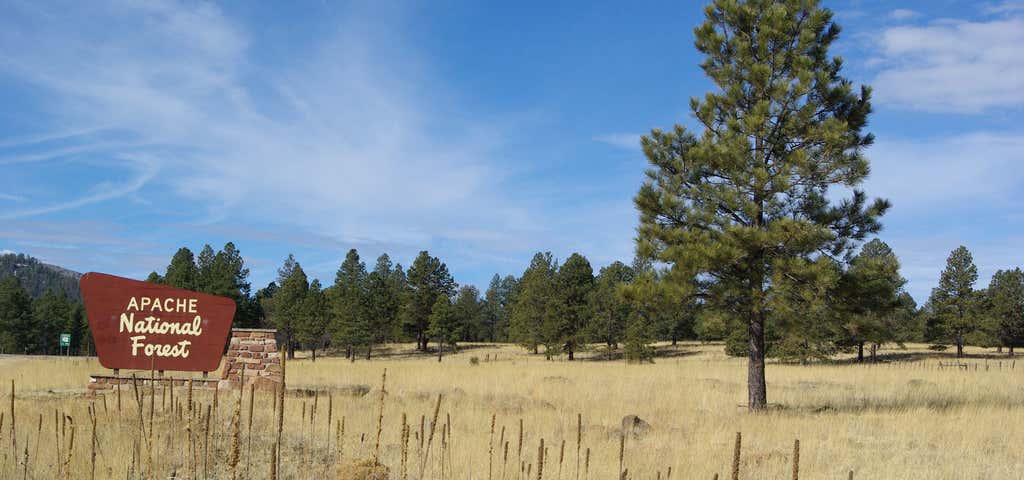 Photo of Apache National Forest
