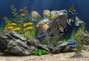 Photo of National Park Aquarium
