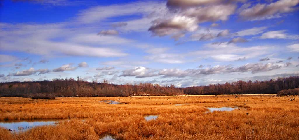 Photo of Tobyhanna State Park