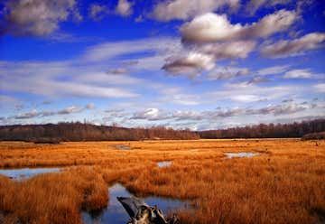 Photo of Tobyhanna State Park