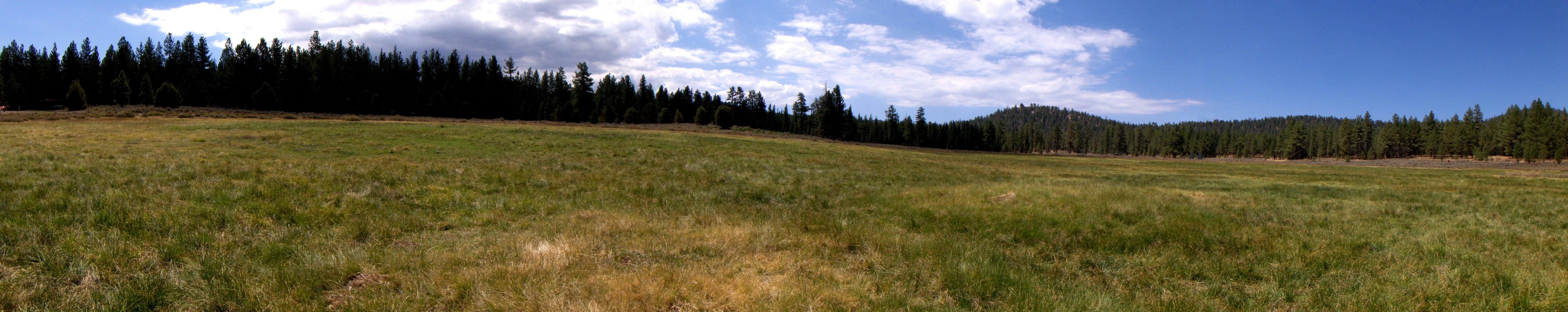 Holcomb Valley Campground