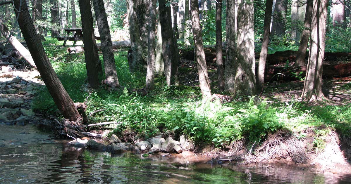 Fowlers Hollow State Park, Blain Roadtrippers