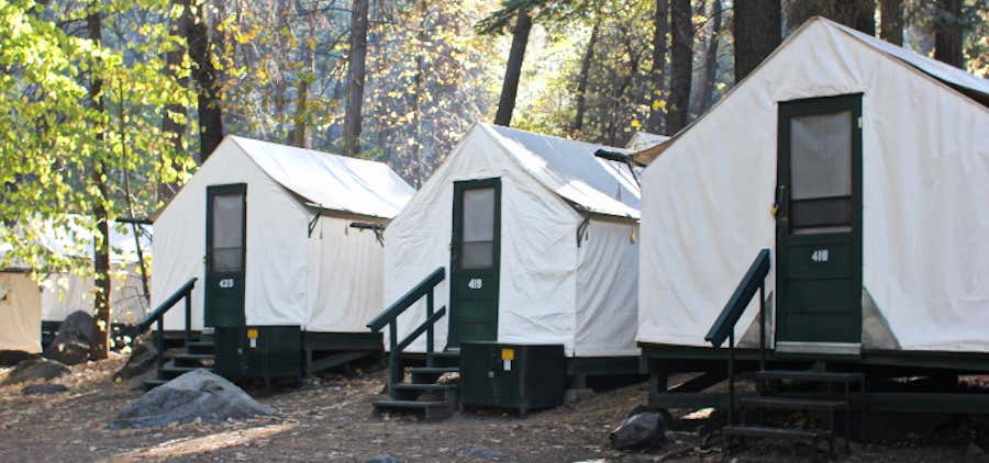 Photo of Camp Curry