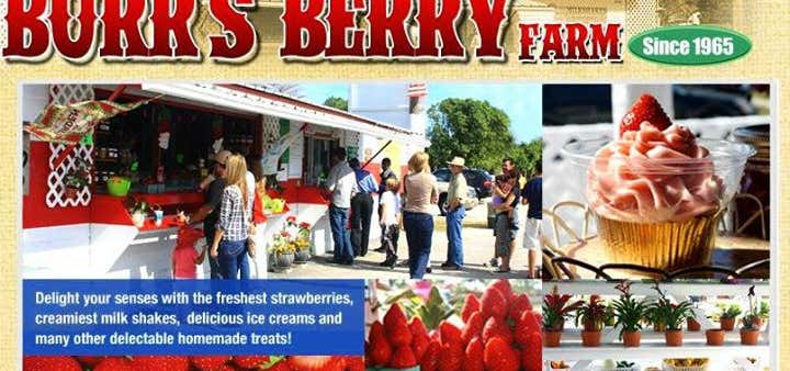 Photo of Burr's Berry Farm