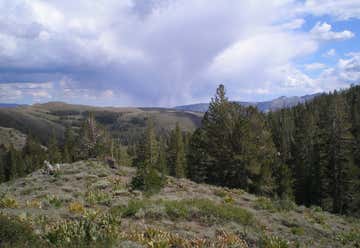 Photo of Kennedy Meadows