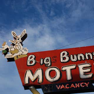 Big Bunny Motel