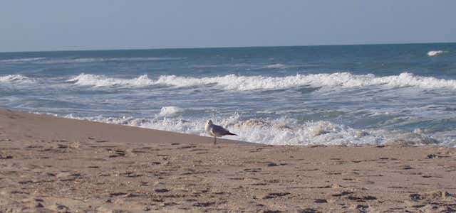 Photo of Playalinda Beach
