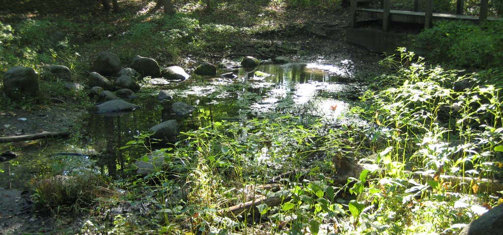 Photo of Little Portage Wildlife Area