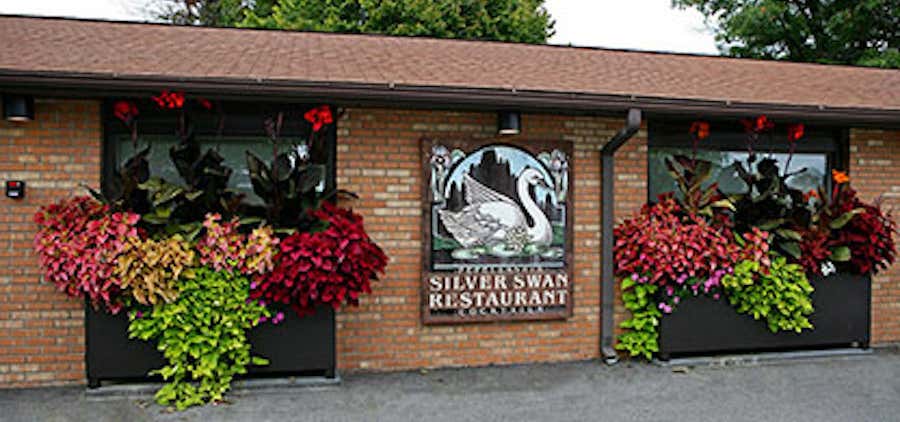 Photo of The Silver Swan