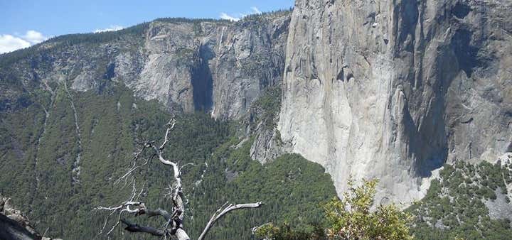 Photo of Yosemite Mountaineering School & Guide Service