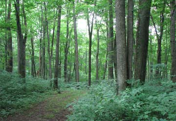 Photo of Warriors Path State Park
