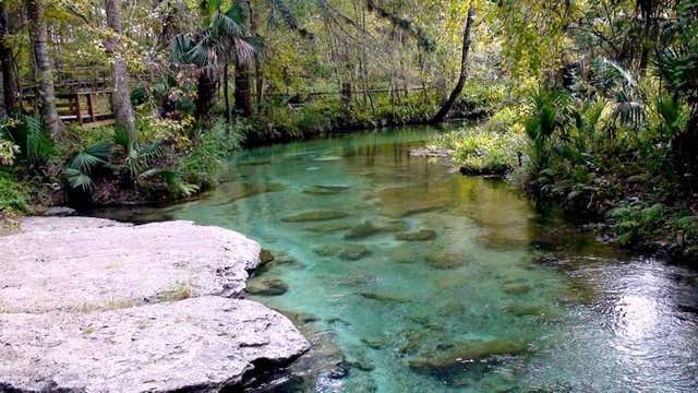 Kelly Park Rock Springs Run Apopka - Fl Roadtrippers