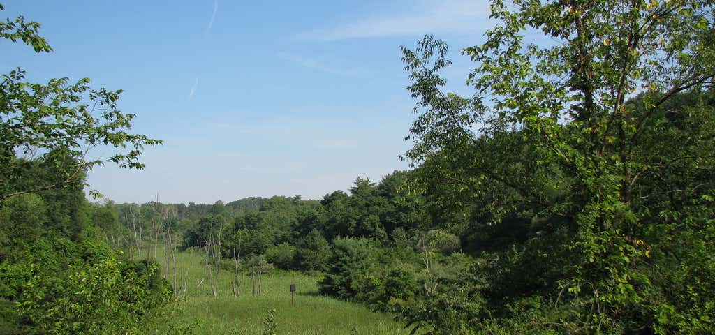 Photo of Hillman State Park