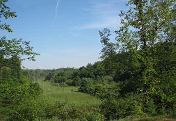 Photo of Hillman State Park
