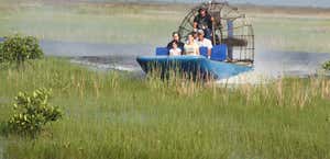 Captain Mitch s airboat tours