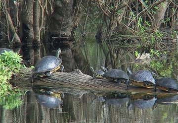 Photo of Wildlife Sanctuary Of Northwest Florida, Inc.