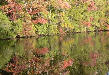 Photo of Belleplain State Forest