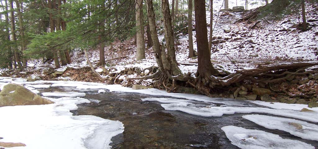 Photo of Laurel Mountain State Park