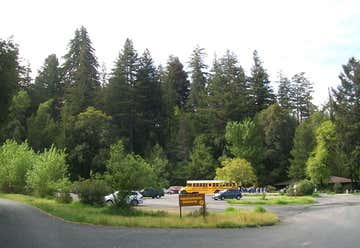 Photo of Henry Cowell Redwoods Nature Store