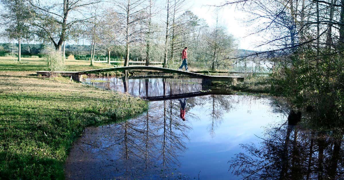 Escape to Serenity: Gantt Lake RV Park - Your Gateway to Georgia's Natural Beauty