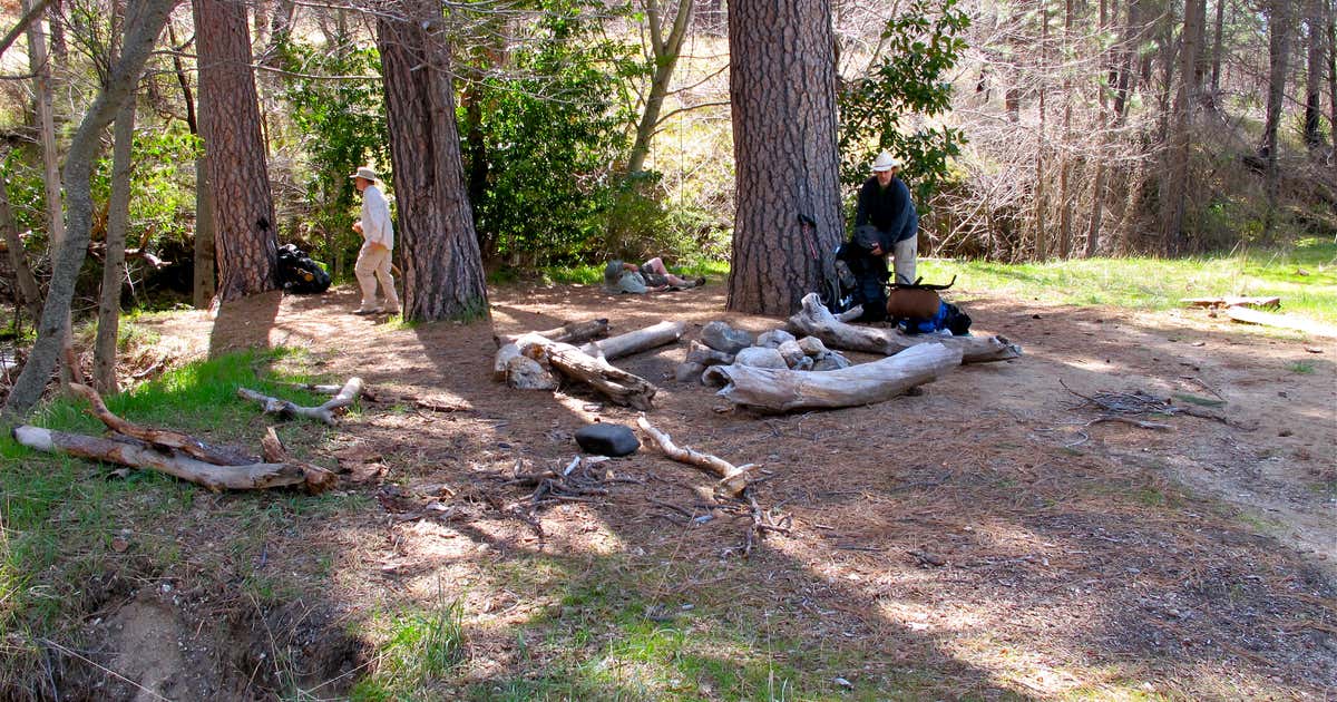 Narrows Campground, Livermore Roadtrippers
