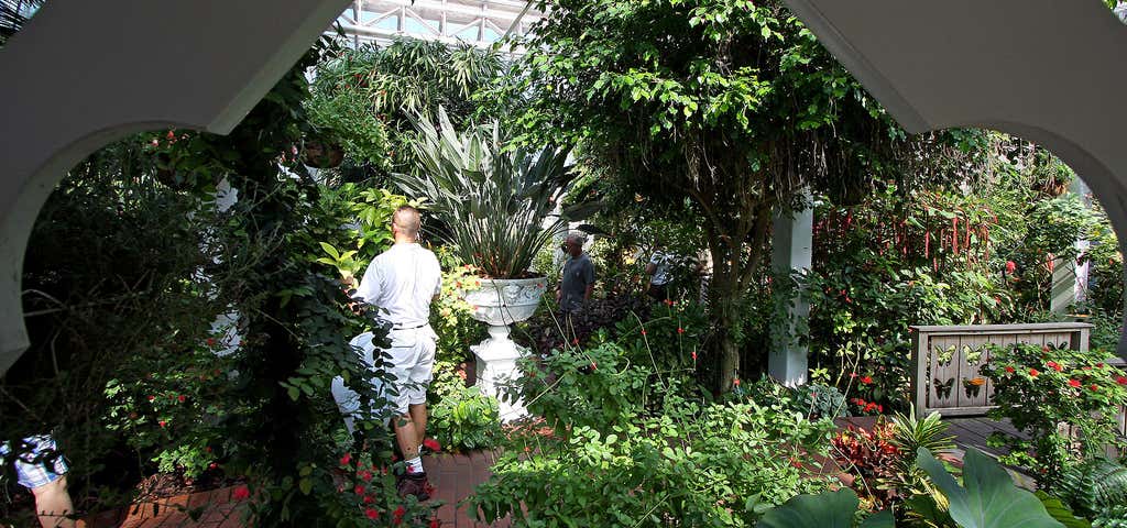 Key West Butterfly Conservatory, Key West | Roadtrippers