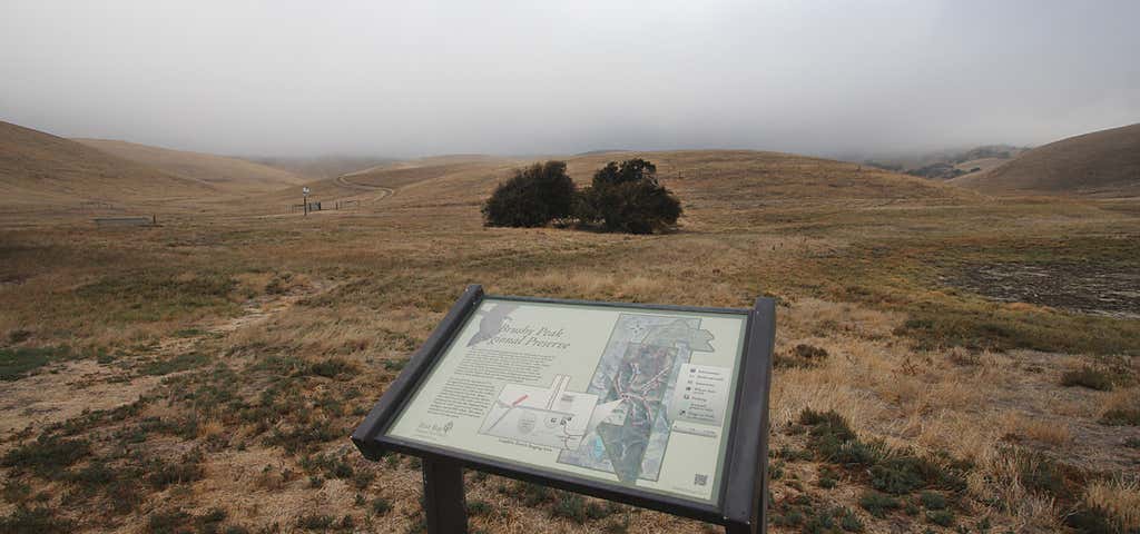 Photo of Brushy Peak Regional Preserve