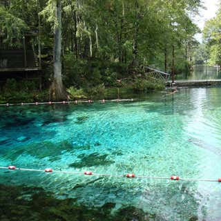 Fanning Springs State Park